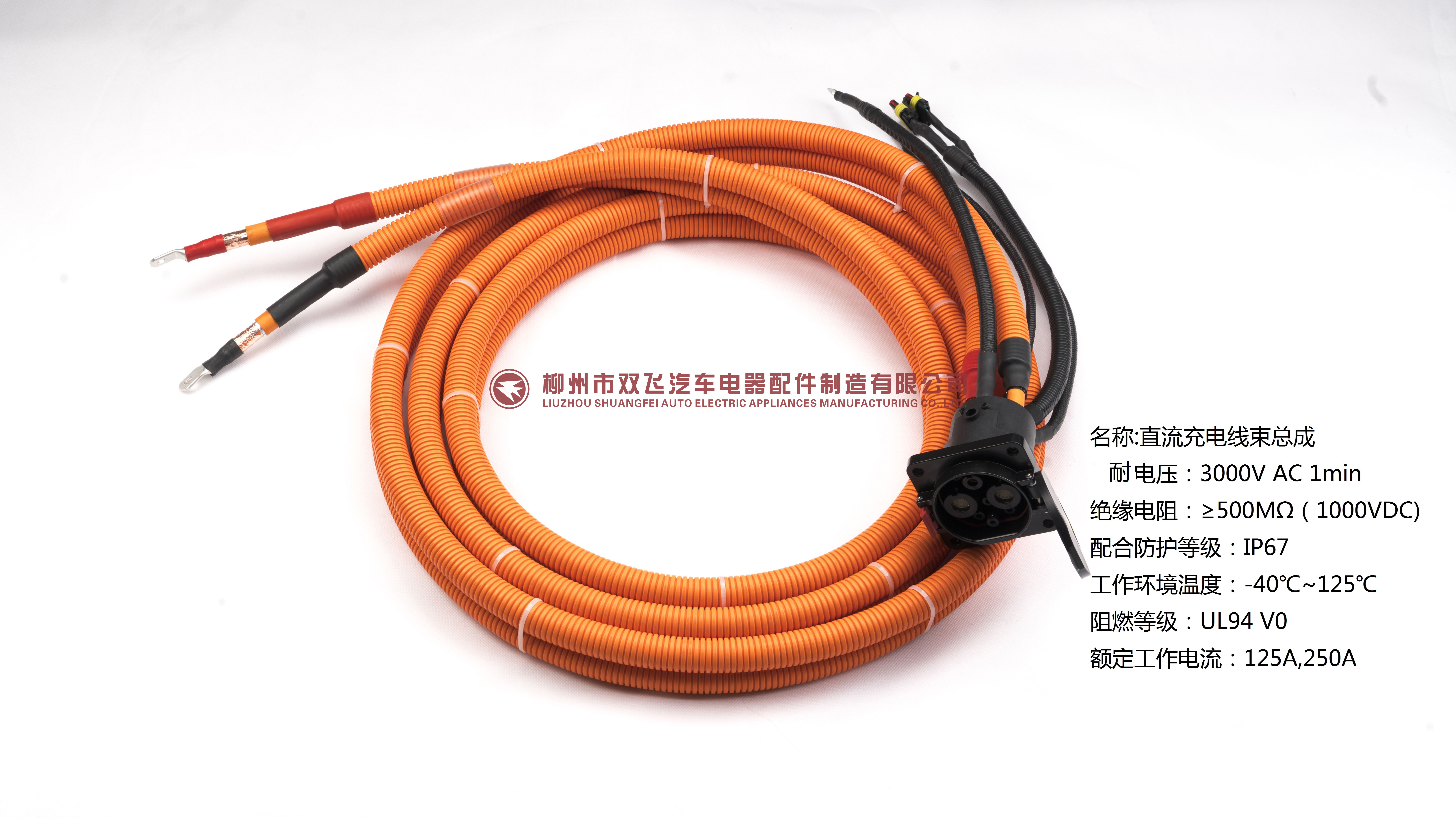 直流充電(diàn)線(xiàn)束总成