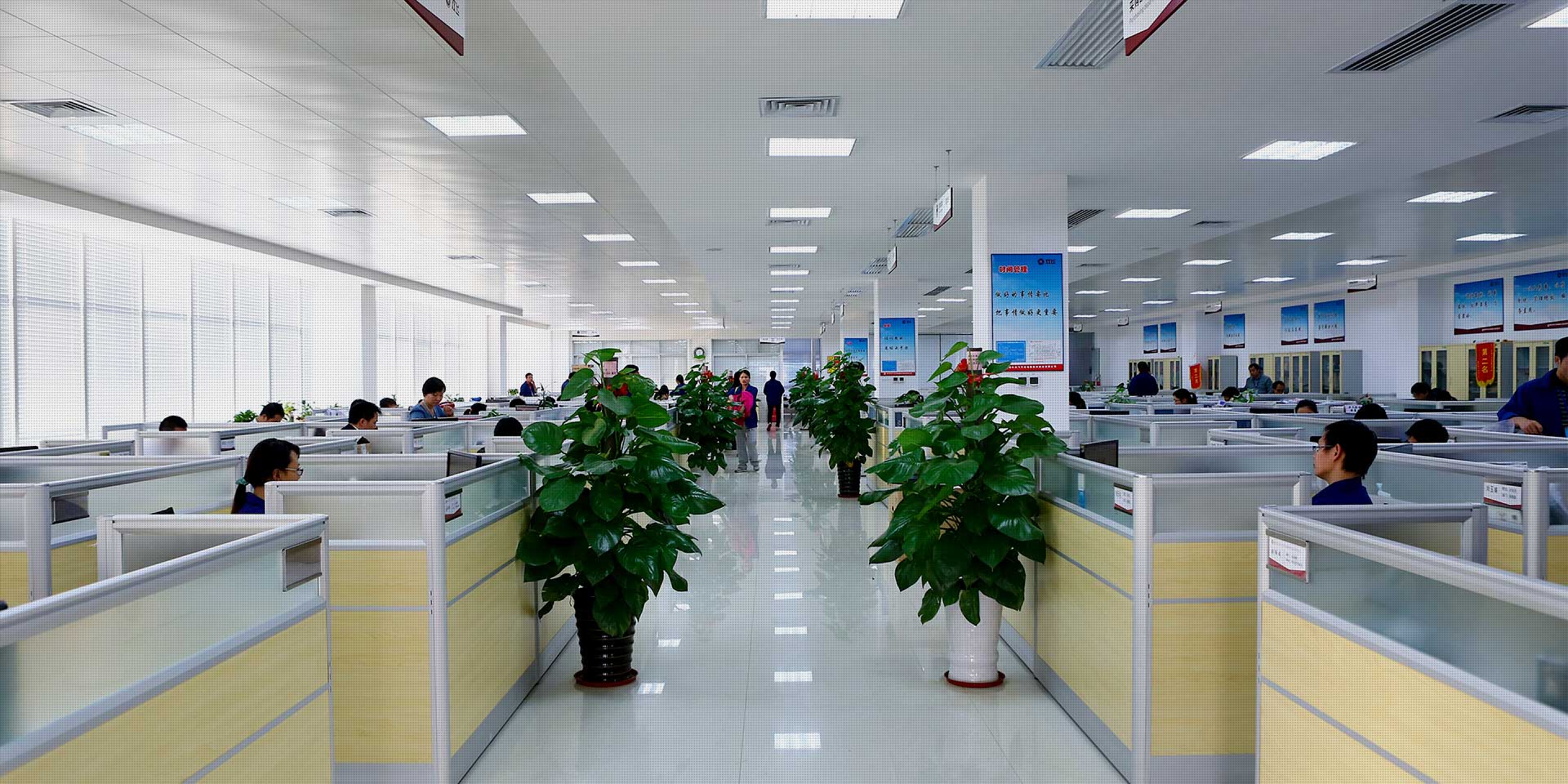 新(xīn)闻动态